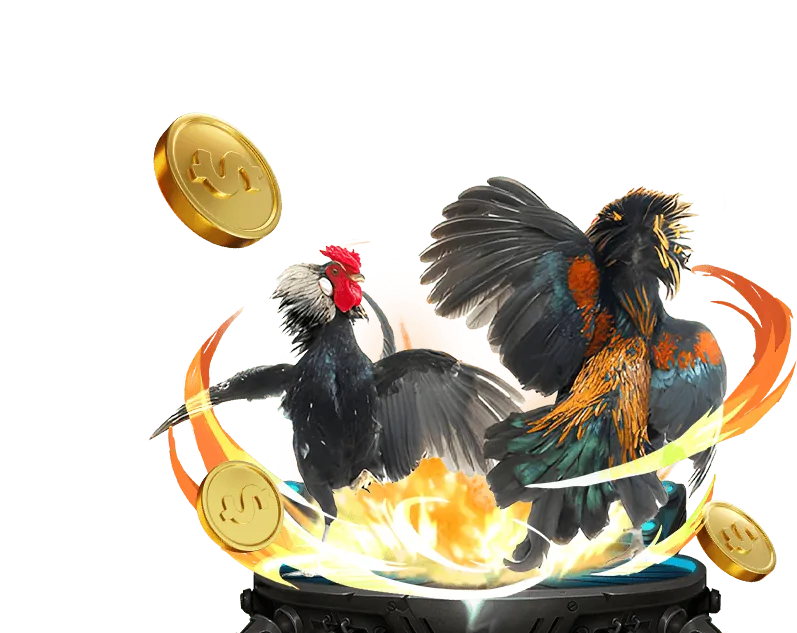 Bàn chơi Dragon Tiger trực tiếp